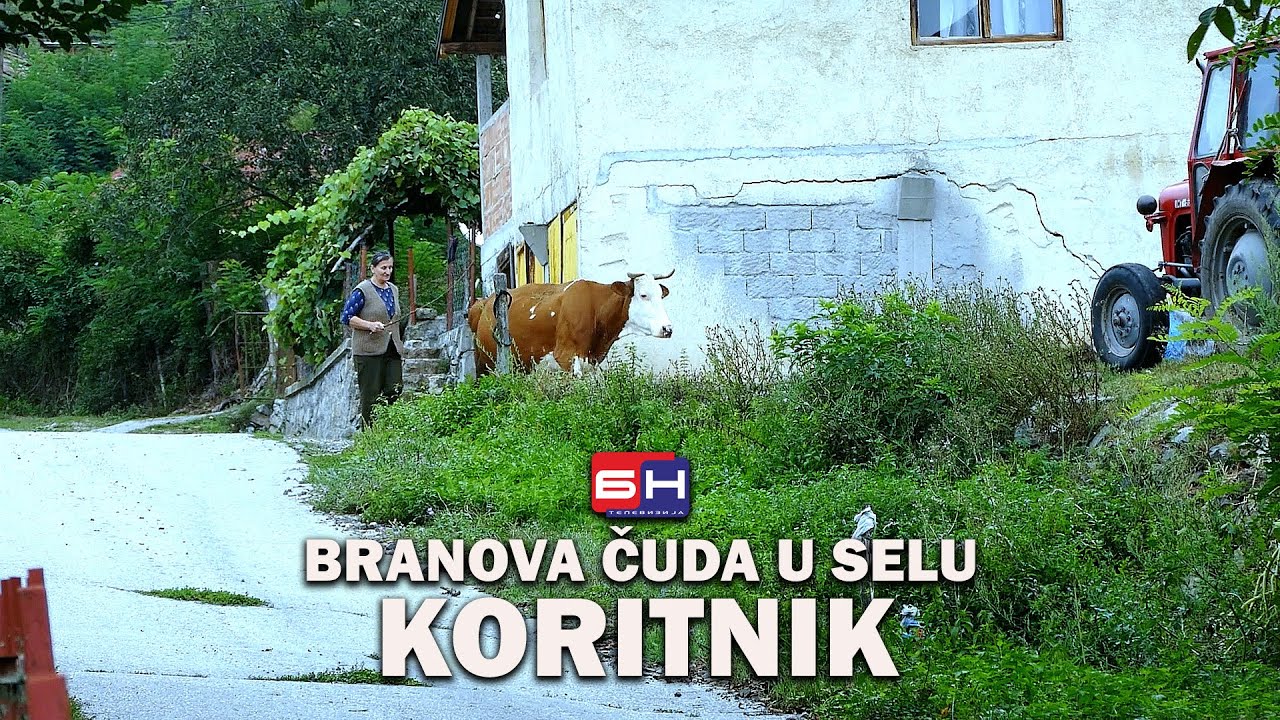Branova čuda u selu Koritnik || ZAPISI PORED PUTA