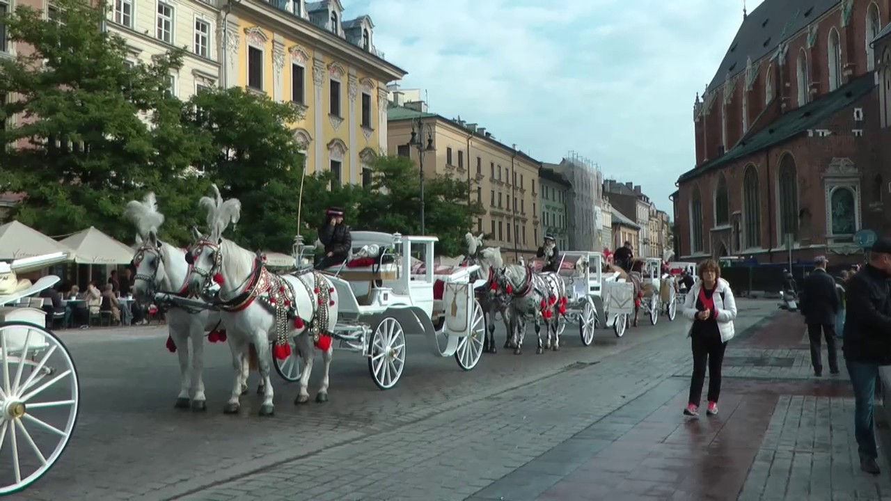 ימים מרתקים  בקרקוב וסביבותיה     krakow