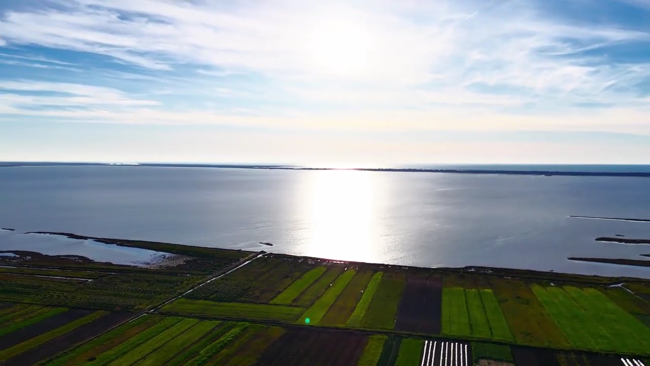 Aerial Serenity: The Green Fields and Town of Divjaka 4K