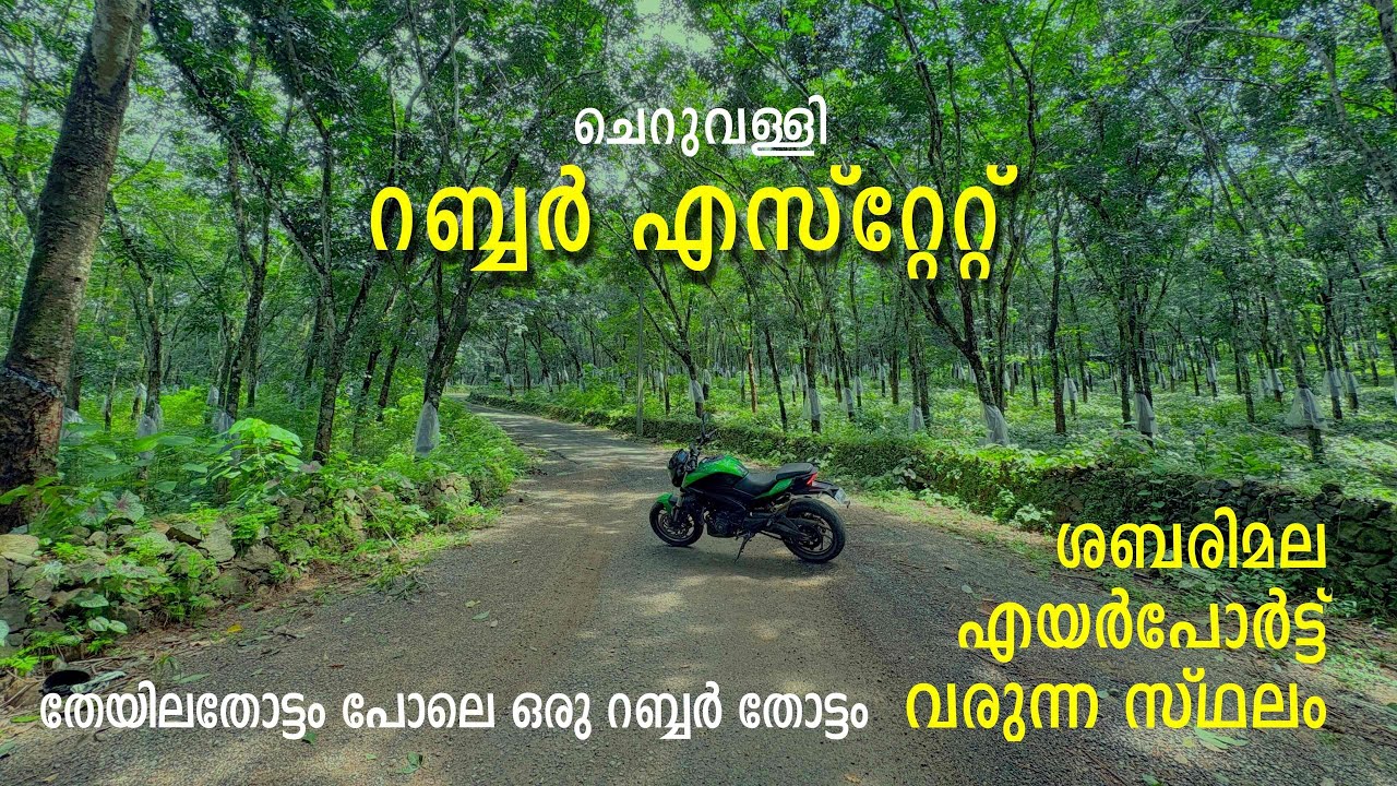 ചെറുവള്ളി റബ്ബർ എസ്റ്റേറ്റിലൂടെ ഒന്ന് കറങ്ങാം CHERUVALLI RUBBER ESTATE | ERUMELI | KANJIRAPALLY |