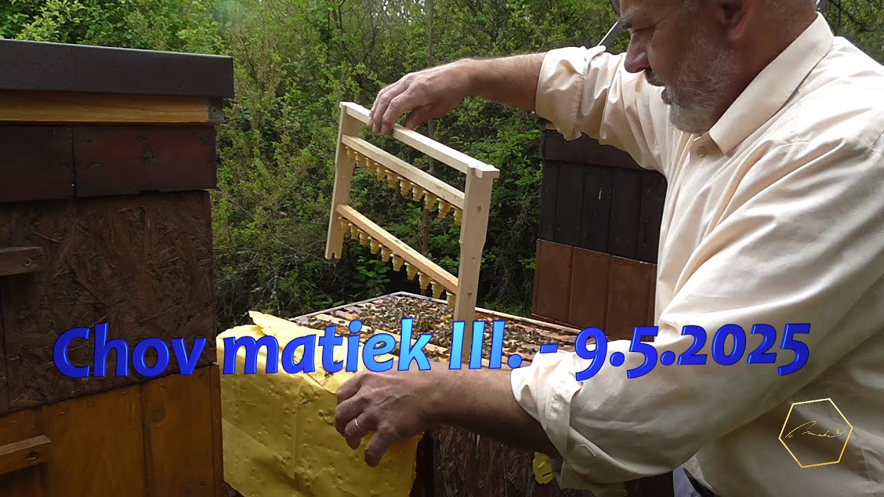 Chov matiek III. - 9.5.2025