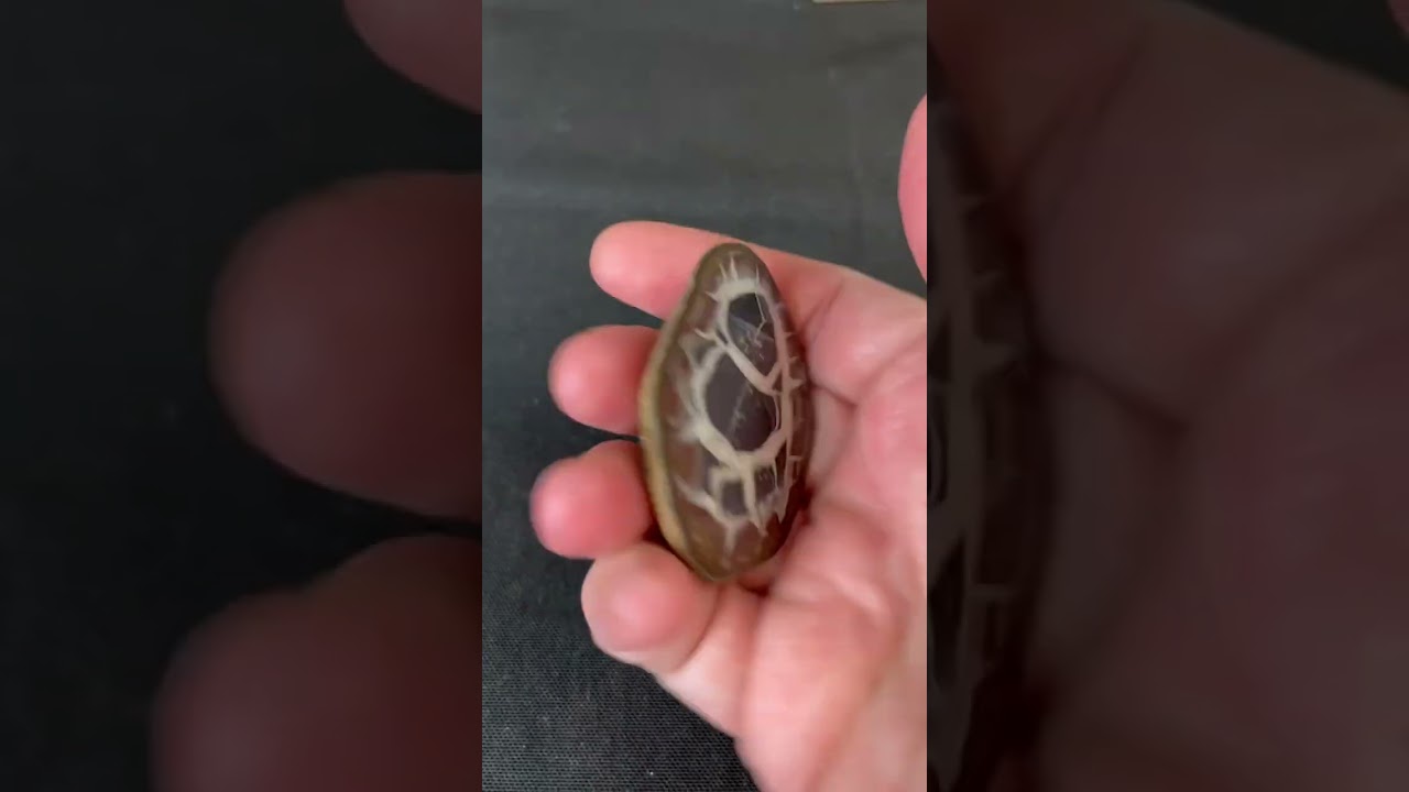 Septarian nodules