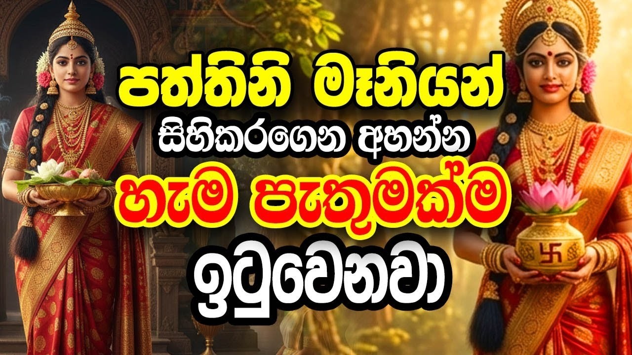 දැක්ක ගමන් අහන්න🙏🌸පත්තිනි මෑණියන්ගෙ ආශිර්වාදයෙන් මුලු දවසම සුභ වේවි