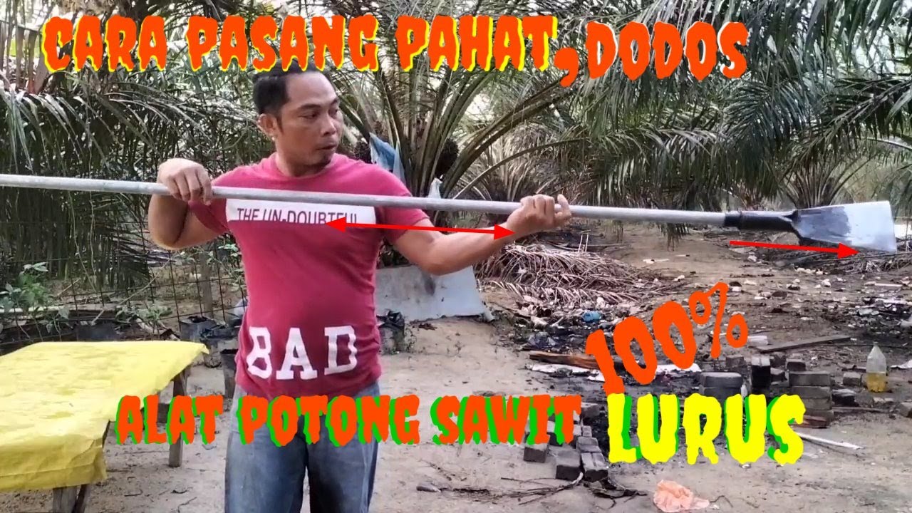 cara memasang pahat dodos#potongbuahsawit #malaysia #gajitkimalaysia #trukmuatsawit