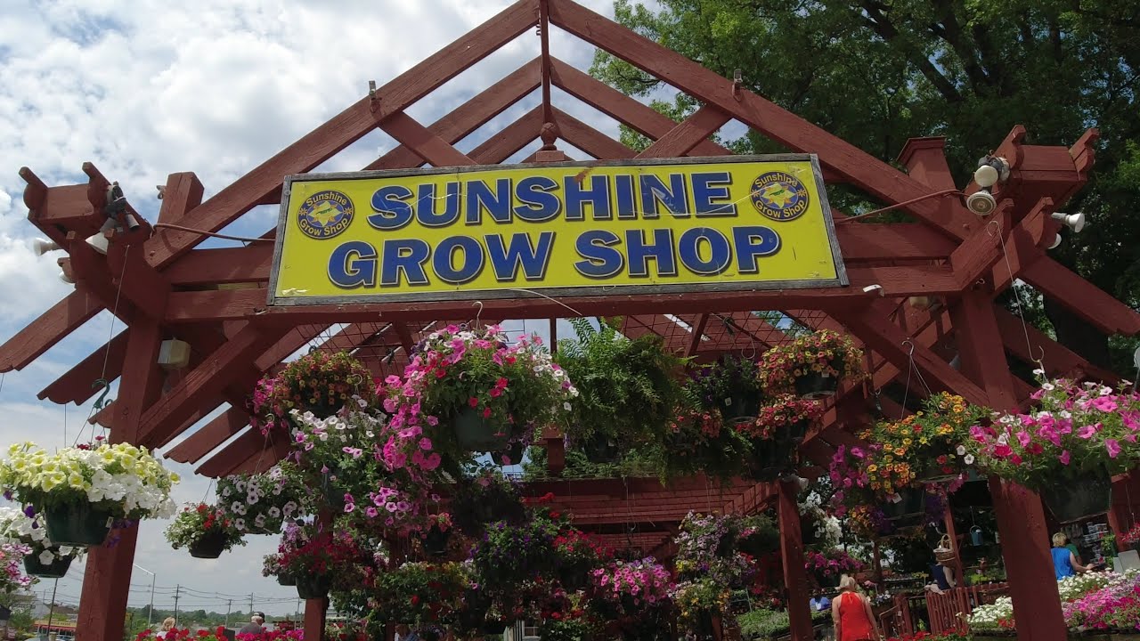 Цветочнй магазин. SUNSHINE GROW SHOP.