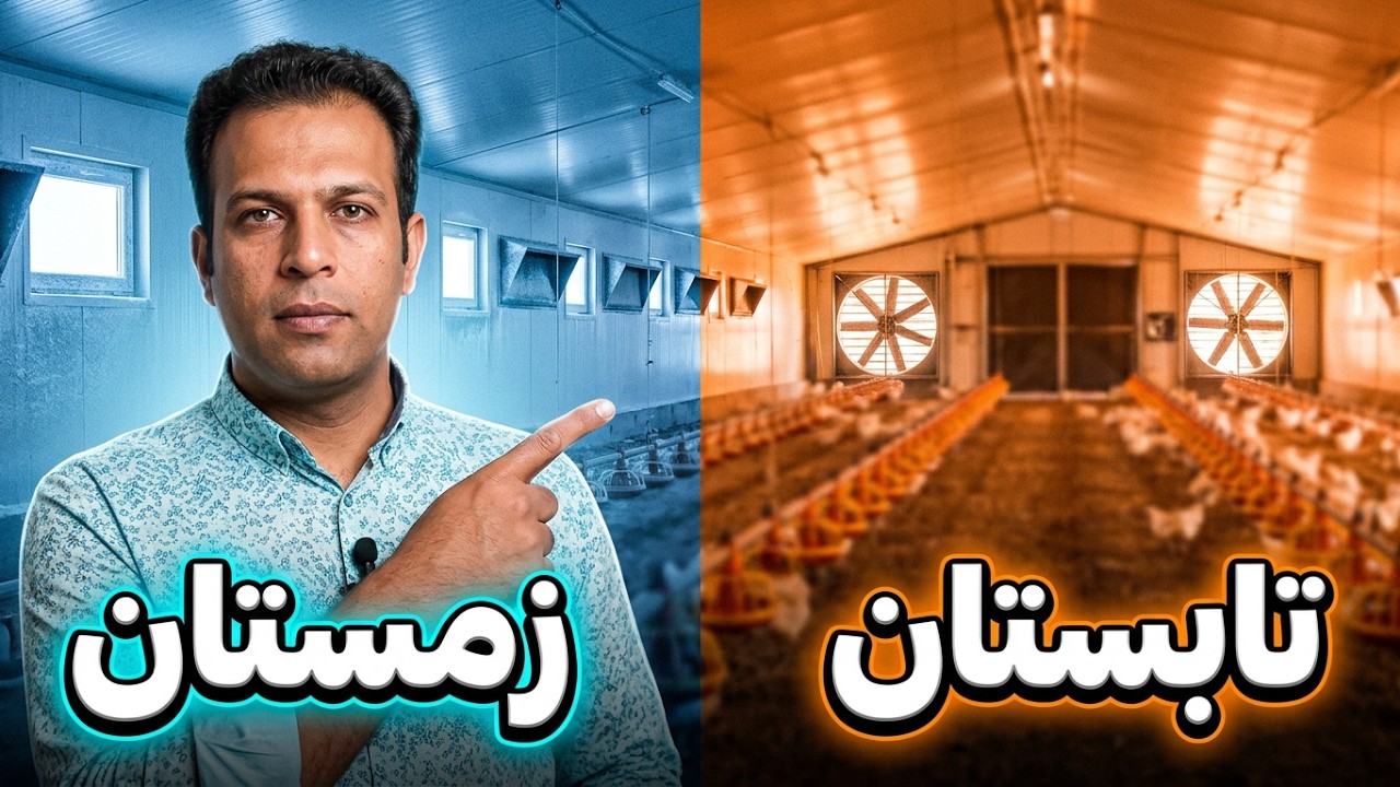 آموزش کامل پرورش مرغ گوشتی , آموزش پرورش مرغ تخمگذار , آموزش پرورش طیور , اموزش مرغداری , پرورش طیور