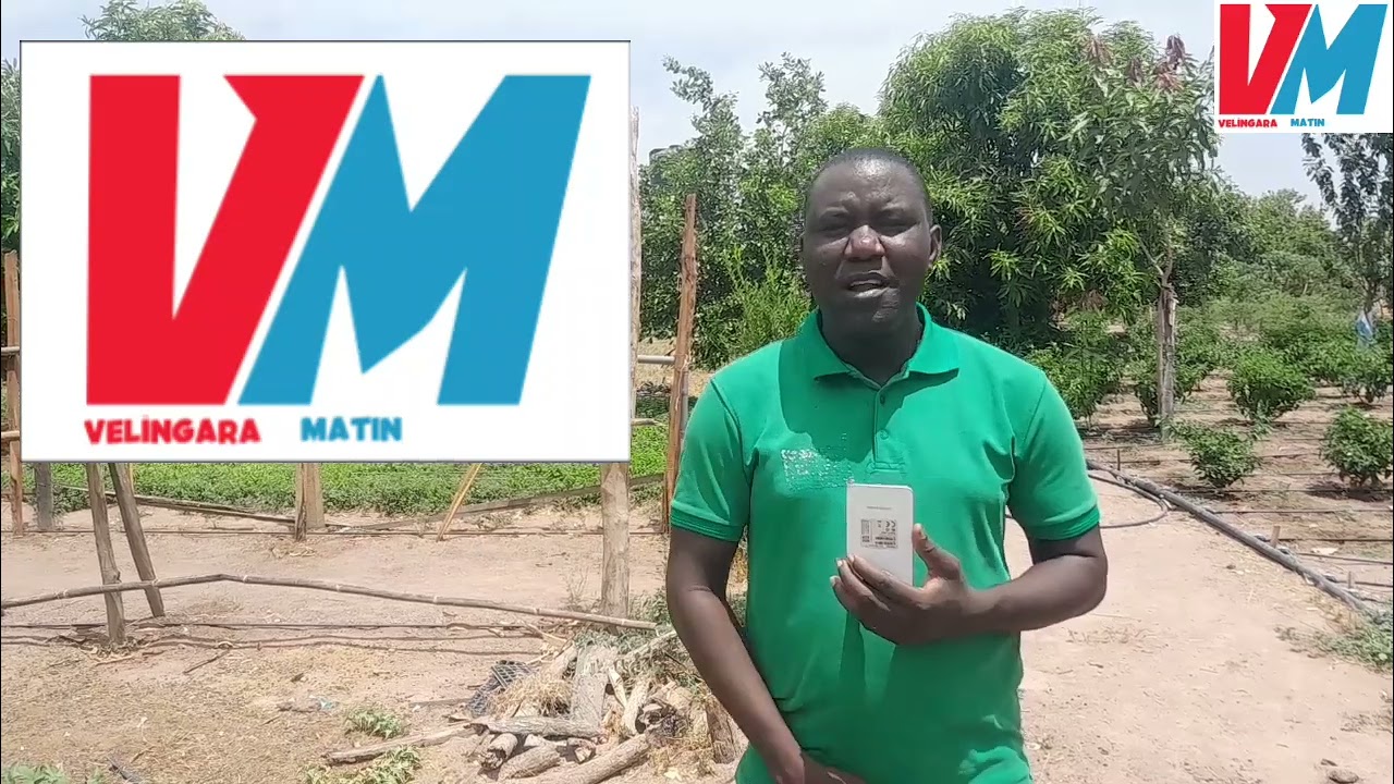 Immersion dans la ferme agricole et maraîchère de Bobo Diadia.