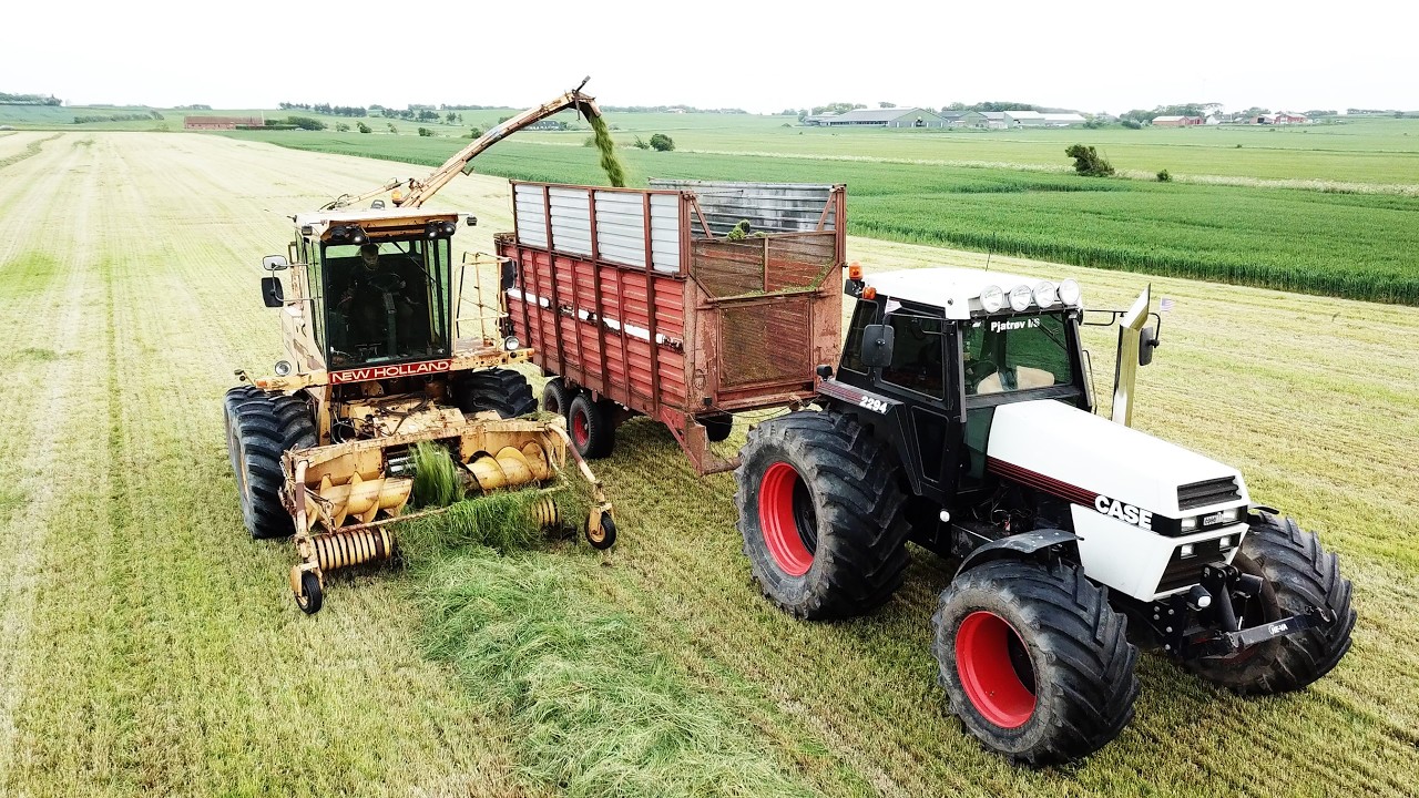 New Holland 1905 & Case 2294 & Case 1270 Chopping Grass | Big Farming