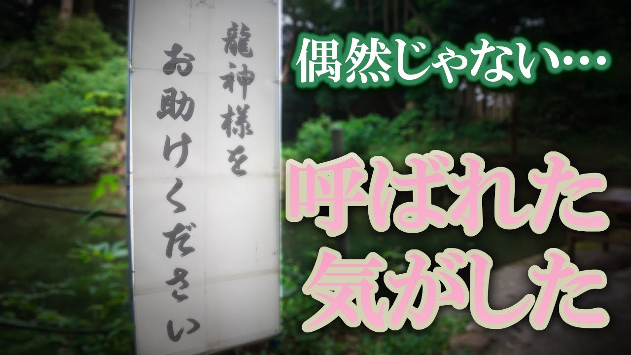 ⚠️“龍神様を助けてください”「偶然じゃない看板との出会い」｜曾許乃御立神社 遠隔参拝421