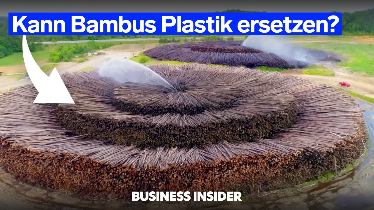 Kann Bambus Plastik ersetzen? | Business Insider Deutschland