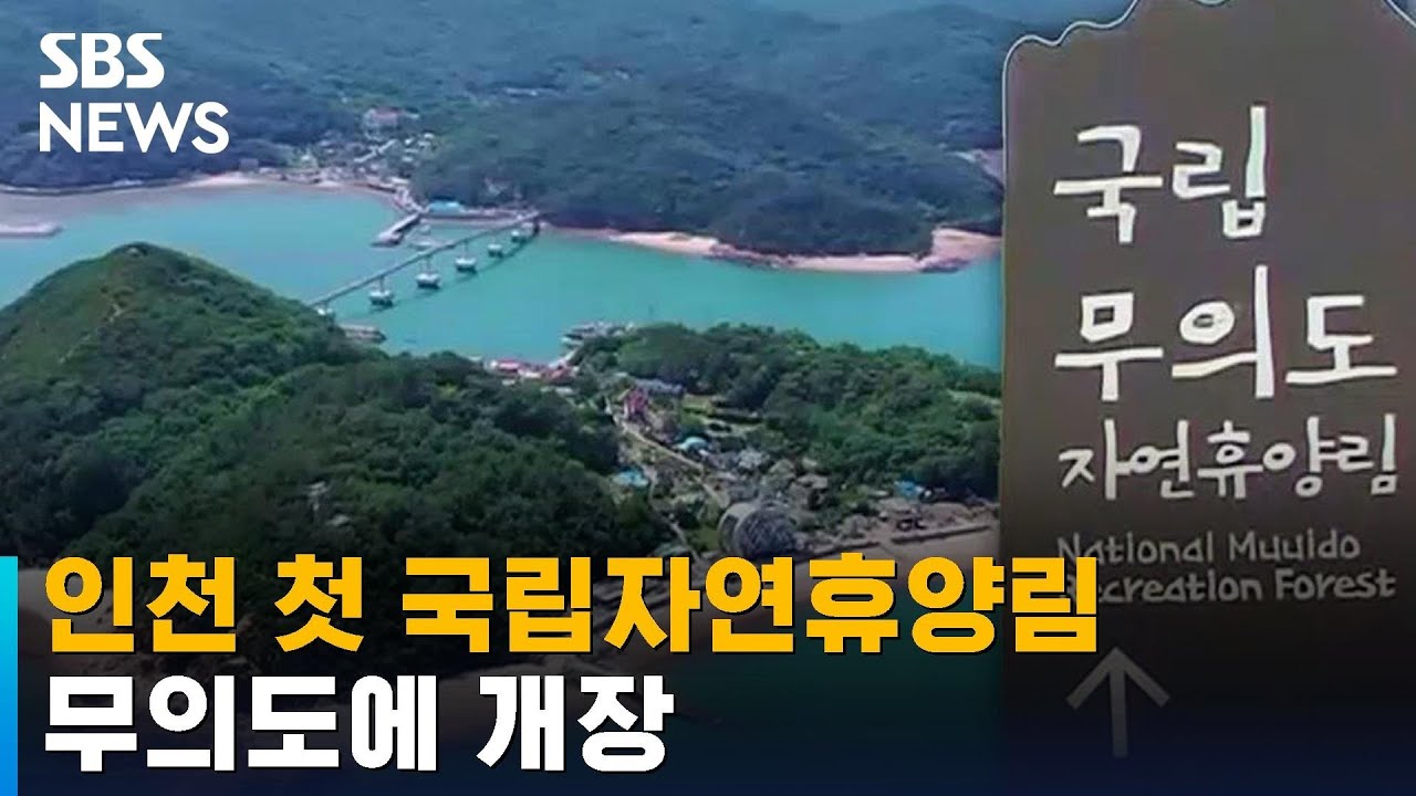 무의도에 인천 첫 국립자연휴양림 개장 / SBS