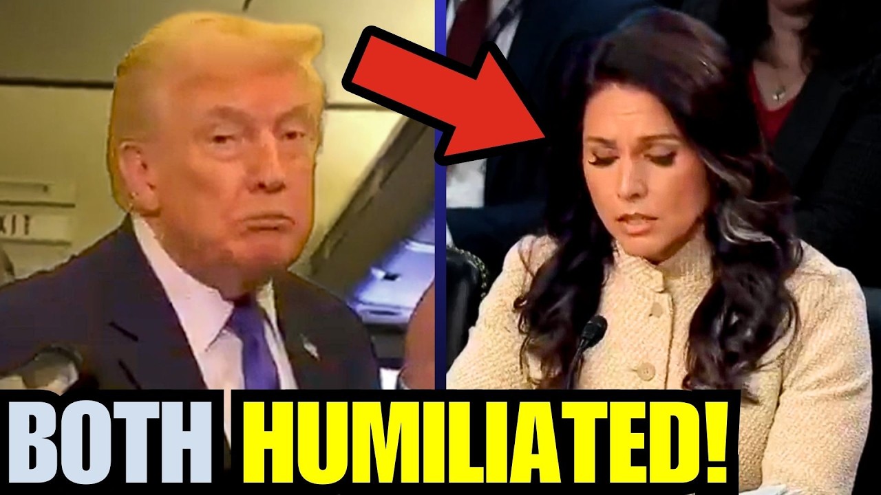 Tulsi ENDS CAREER as BRUTAL hearing EXPOSES Trump