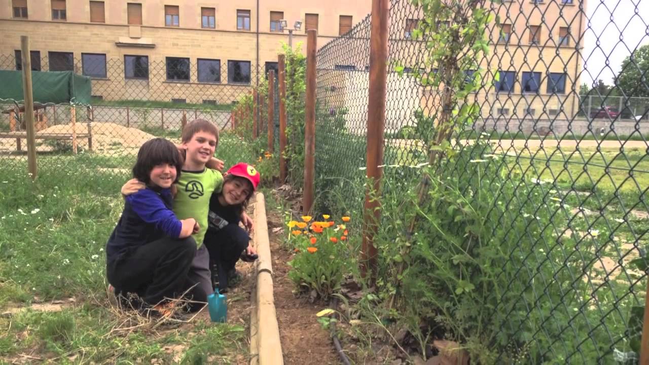 Pedagogia Waldorf La Font