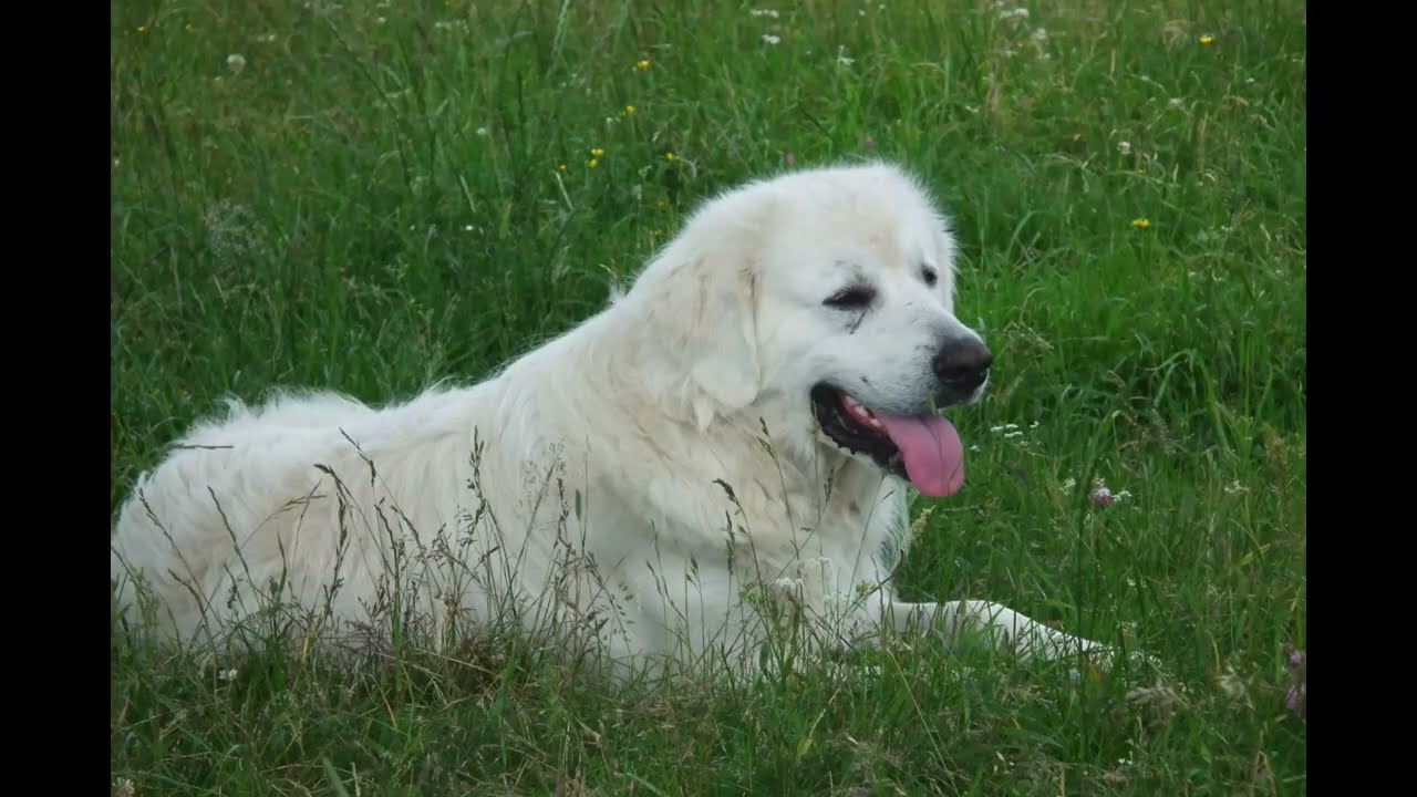 2010 07 11 Na Durbaszkę i Wysoką