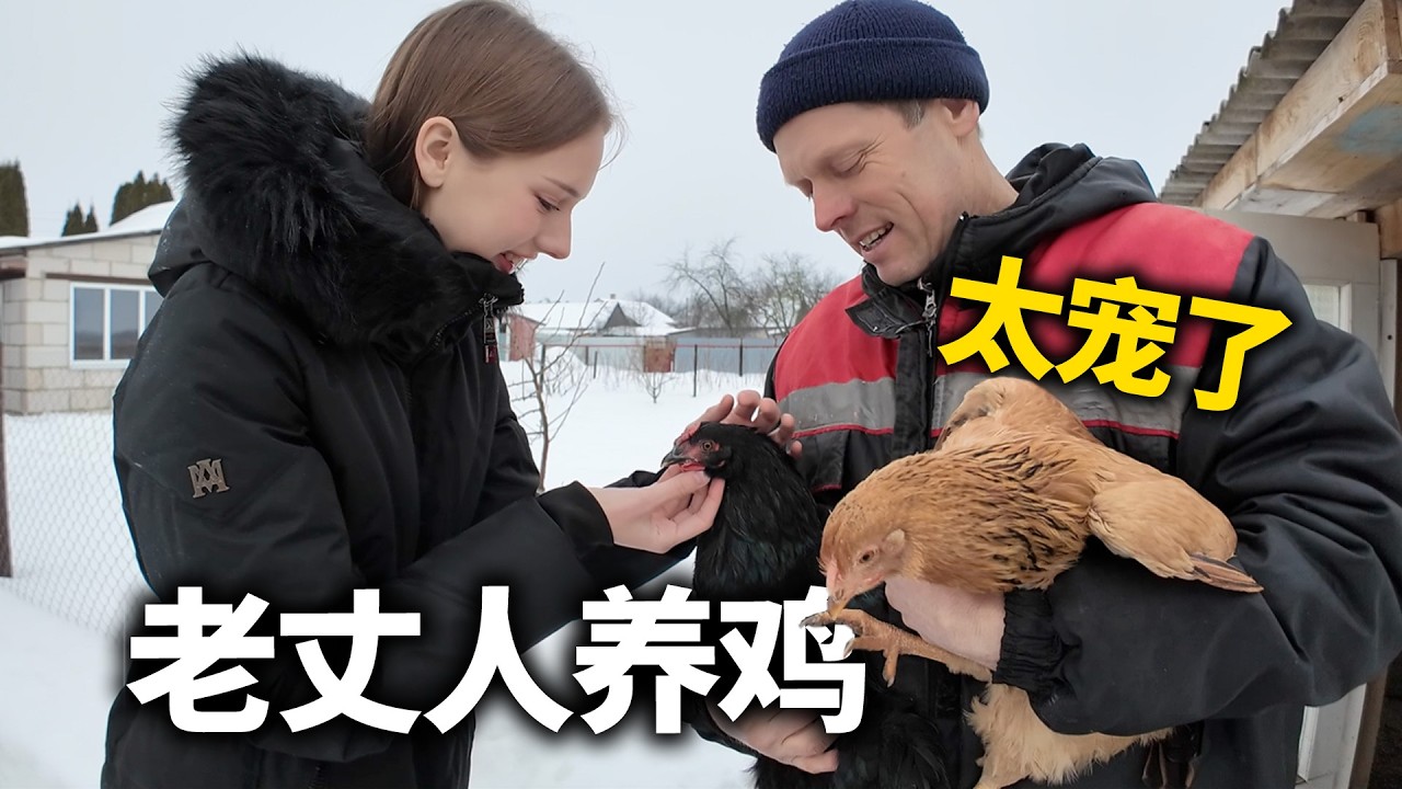 白俄老丈人给鸡盖了阳光房！太宠了