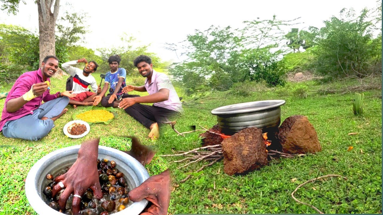 🐌 Snail Cooking in 
