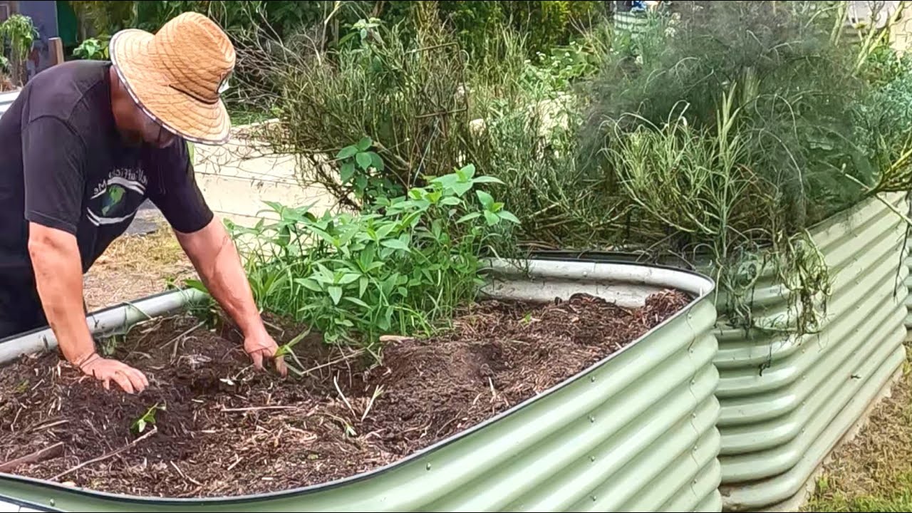 How to Know When Your Garden Soil is GOOD or NEEDS Replenishing