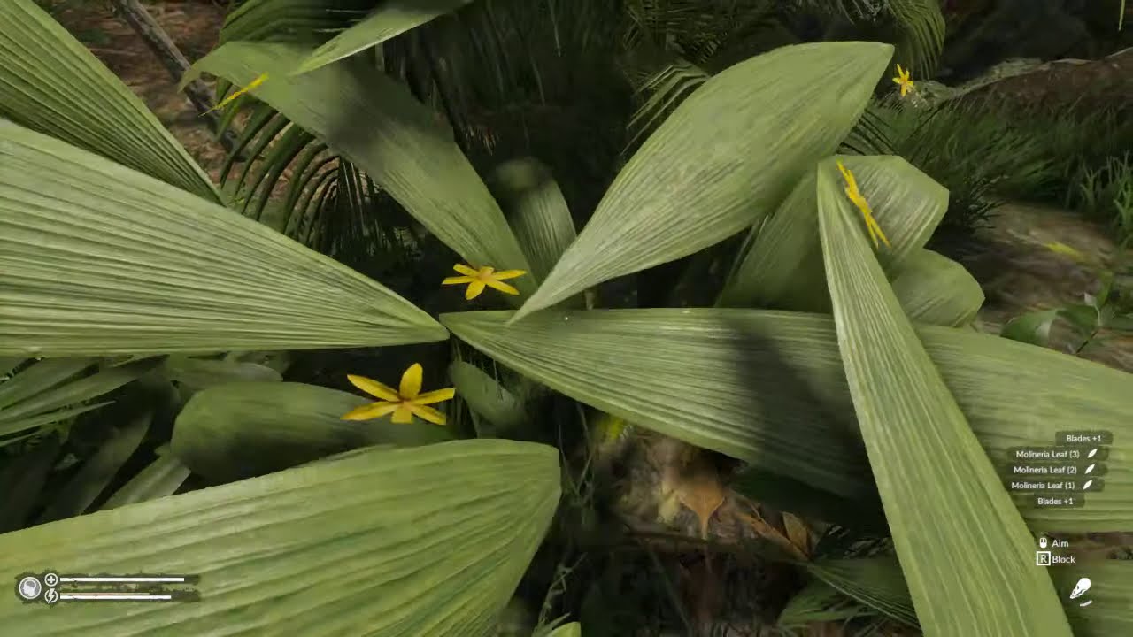 Green Hell Indonesia- Spirit Of Amazonia Multiplayer ( No Commentary) Part 1