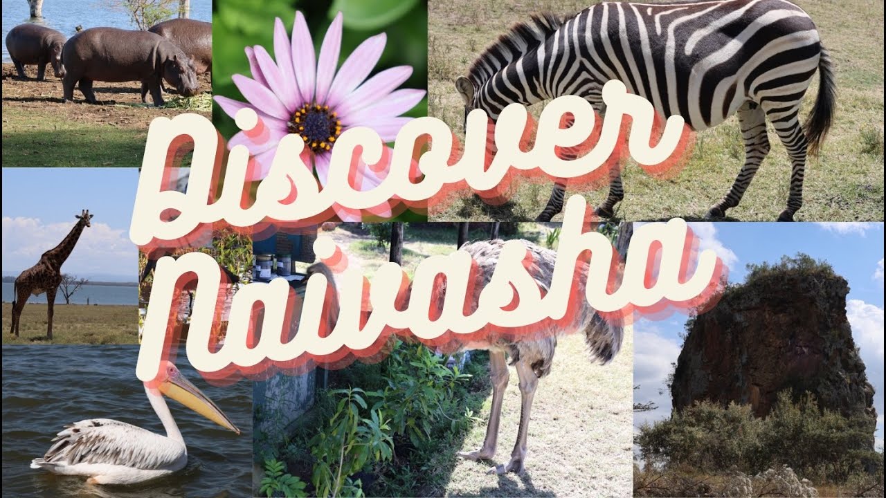 Discover Naivasha: Kenya’s scenic Paradise