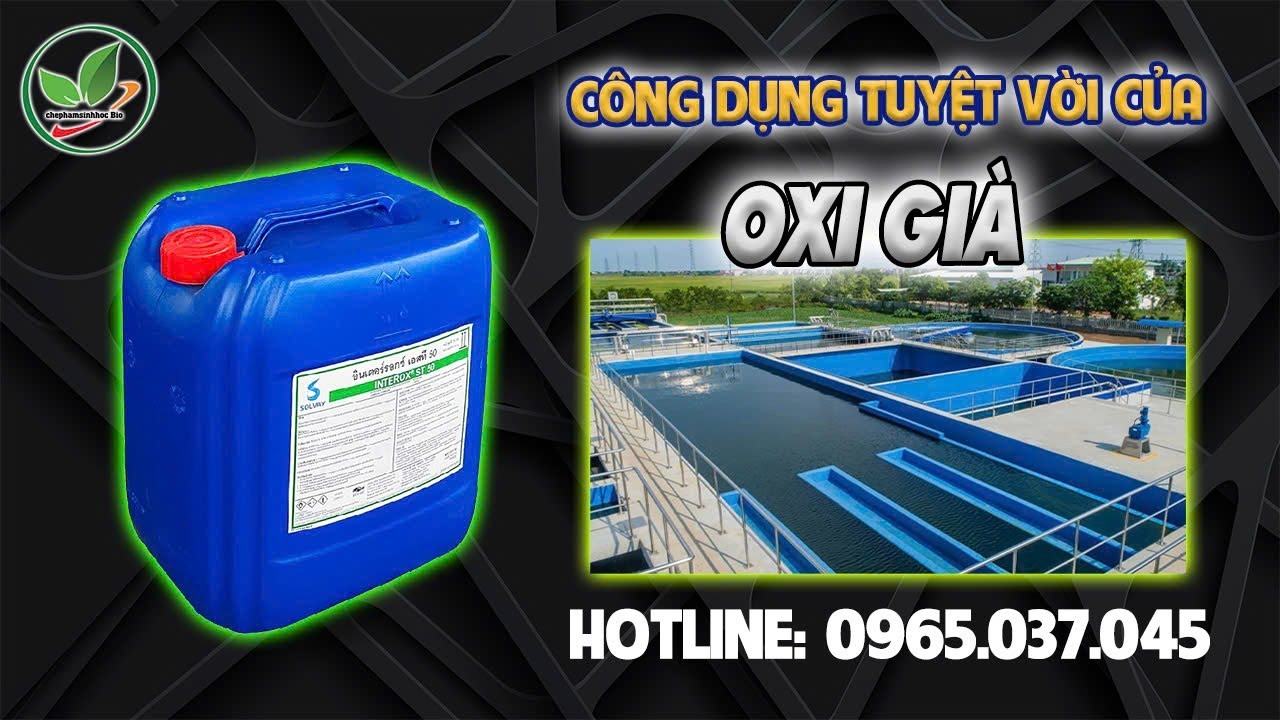 OXY GIÀ HÀN QUỐC TRONG XỬ LÝ NƯỚC THỦY SẢN | THIÊN THẢO HÂN