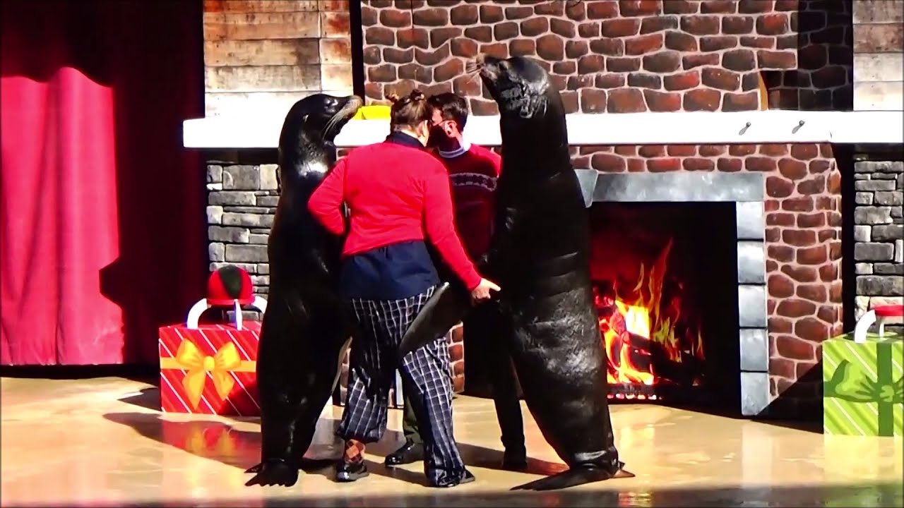 Clyde & Seamore's Countdown to Christmas (Full Show), SeaWorld Orlando