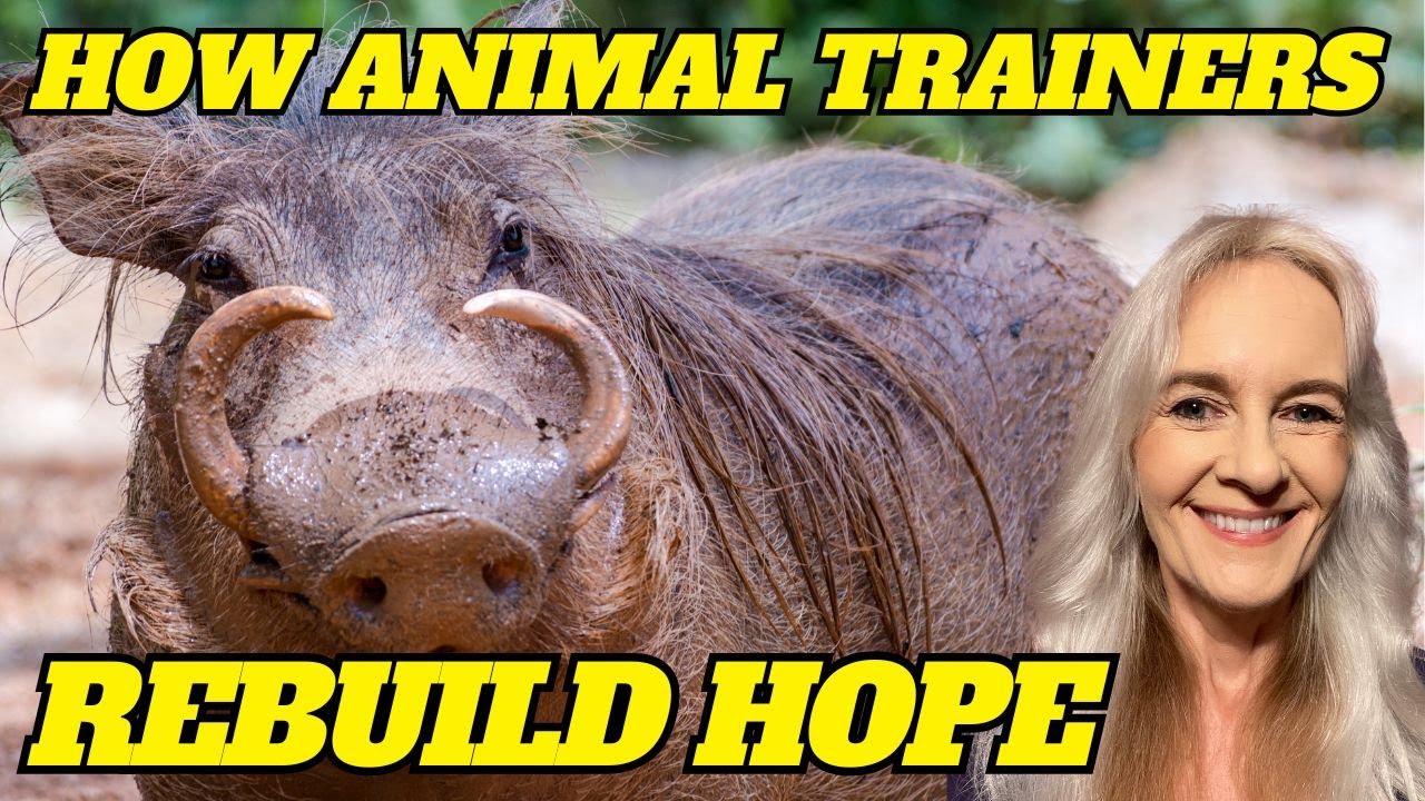 From Hopeless to Empowered: How Animal Trainers Rebuild Hope