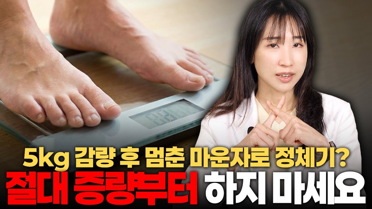 아니? 마운자로 5~6kg 밖에 안 빠진다고? 정체기 200% 완벽 대응법 따라하세요!