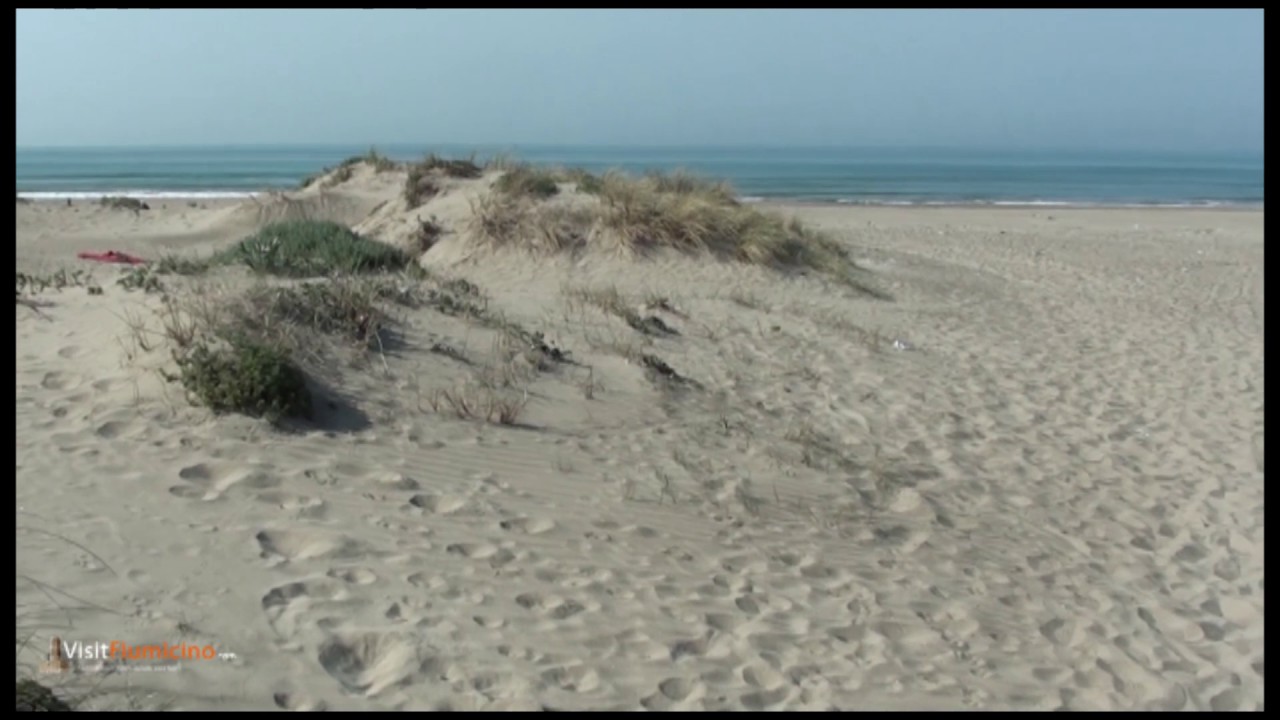 Le Dune di Passoscuro in fiore