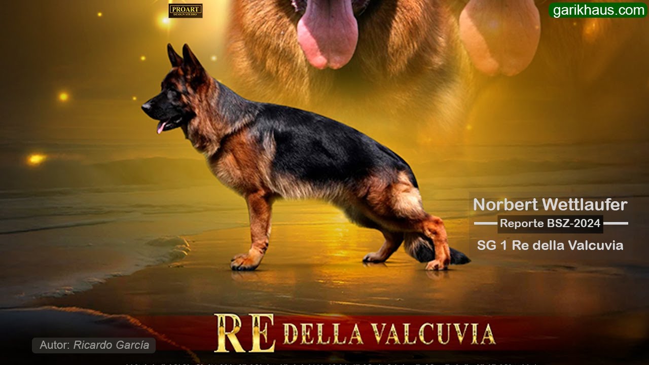 SG1 Re della Valcuvia BSZ-2024