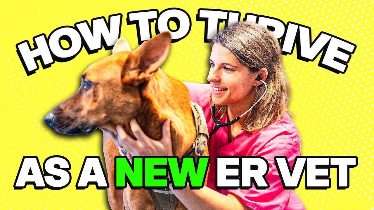 Inside the NERD Program: How to Thrive as a New ER Vet | Ep. 76