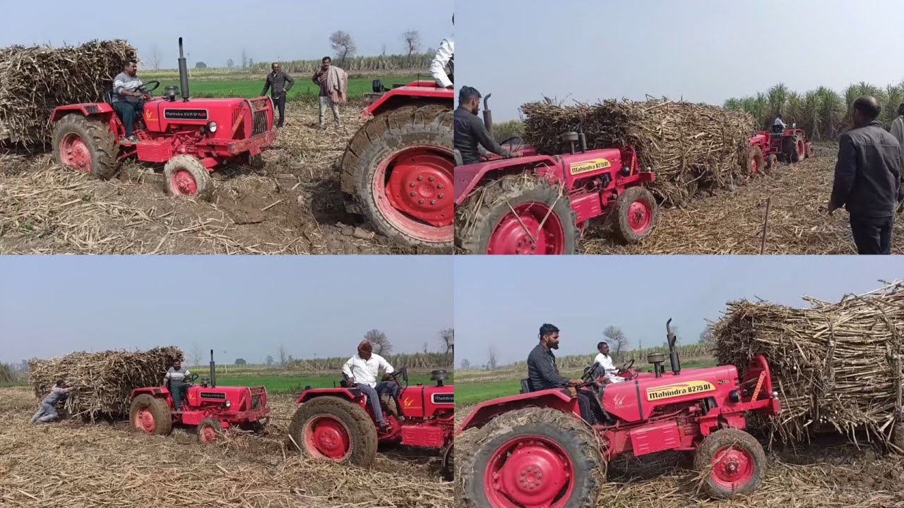 Ganne ki Bhari Hui trolley char tractor Ne milkar nikaali 4/2/26