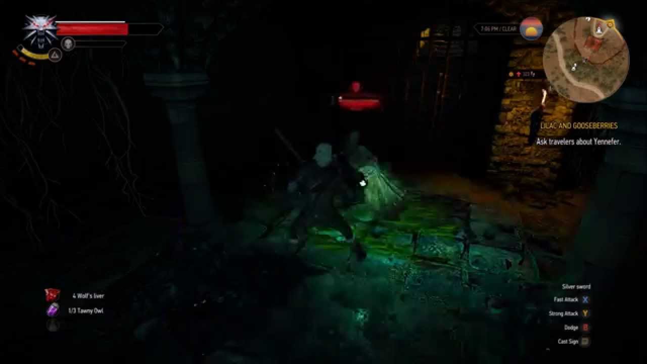 The Witcher 3 - Level 7 Wraith Fight at Level 1 on Blood & Broken Bones.