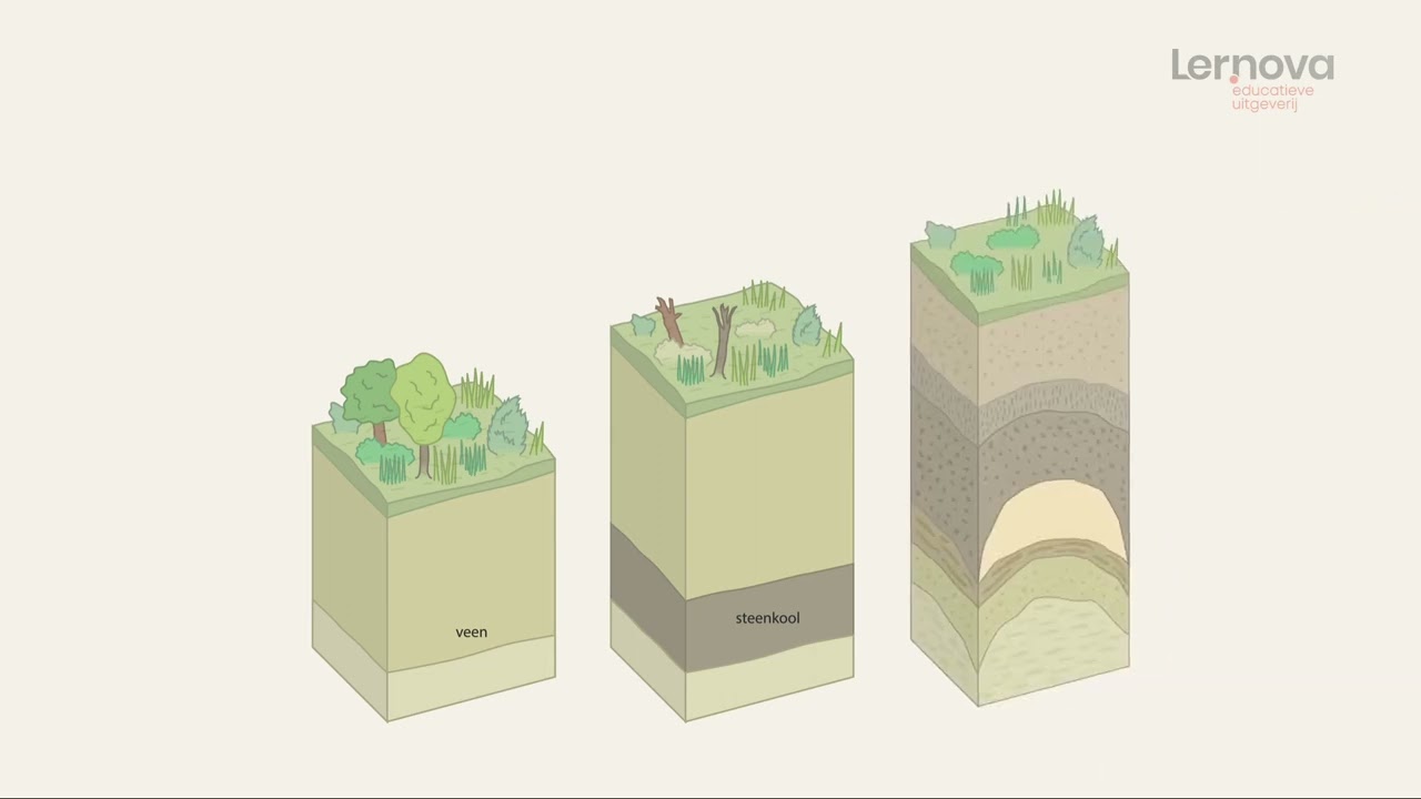 Animatie over het ontstaan van aardgas - Lernova chemie