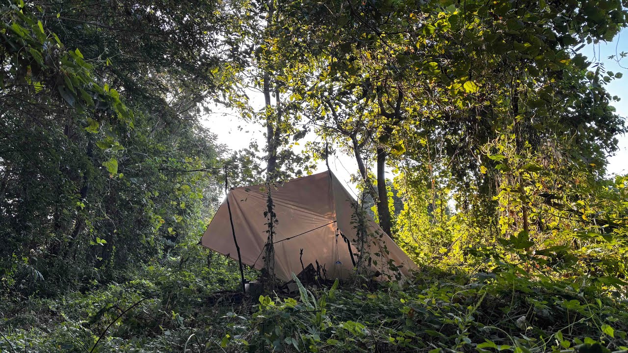 Overnight camping/a certain green area 某緑地