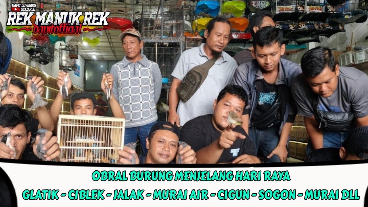OBRAL BURUNG MENJELANG HARI RAYA !!! GLATIK - CIBLEK - JALAK - MURAI AIR DLL