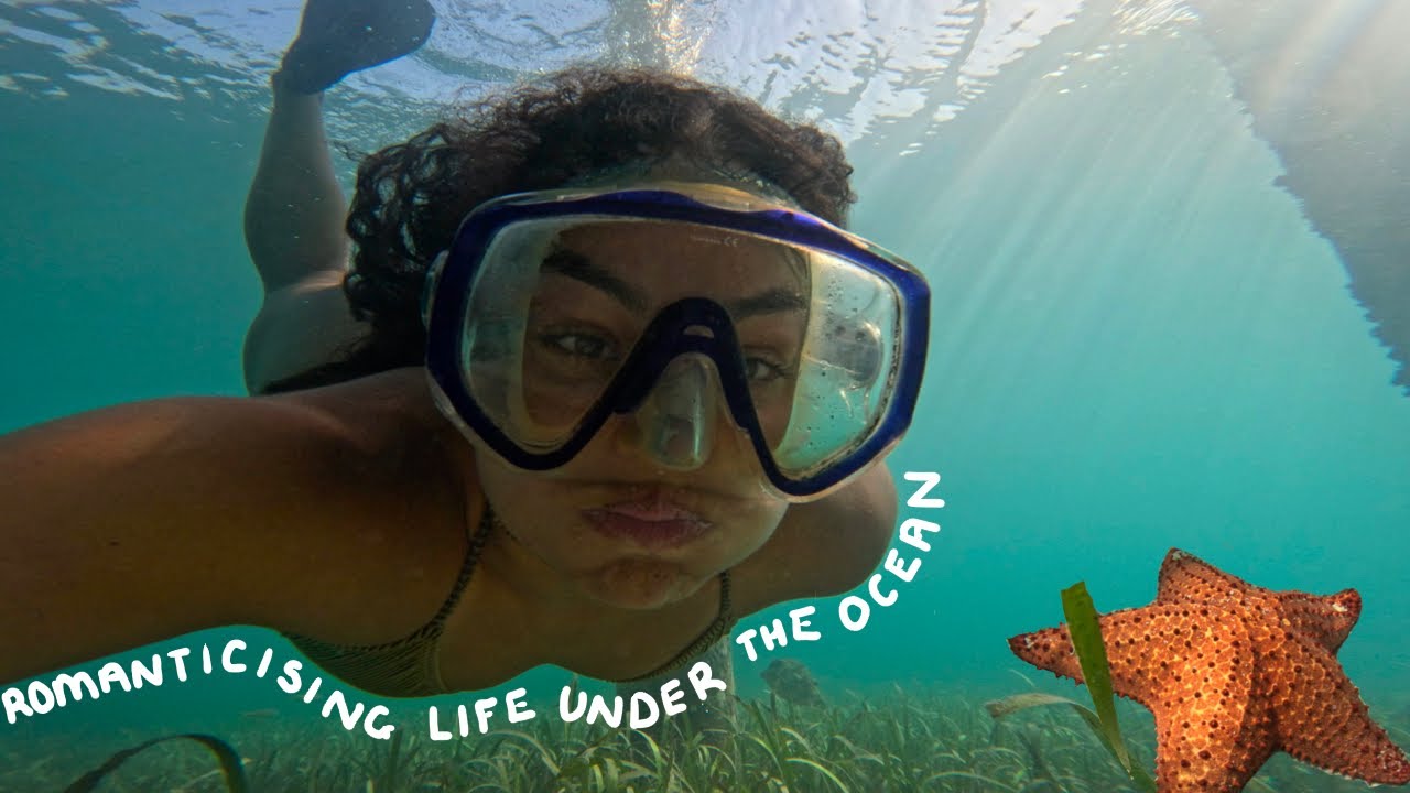 day in the life of a mermaid | FREE DIVING VLOG