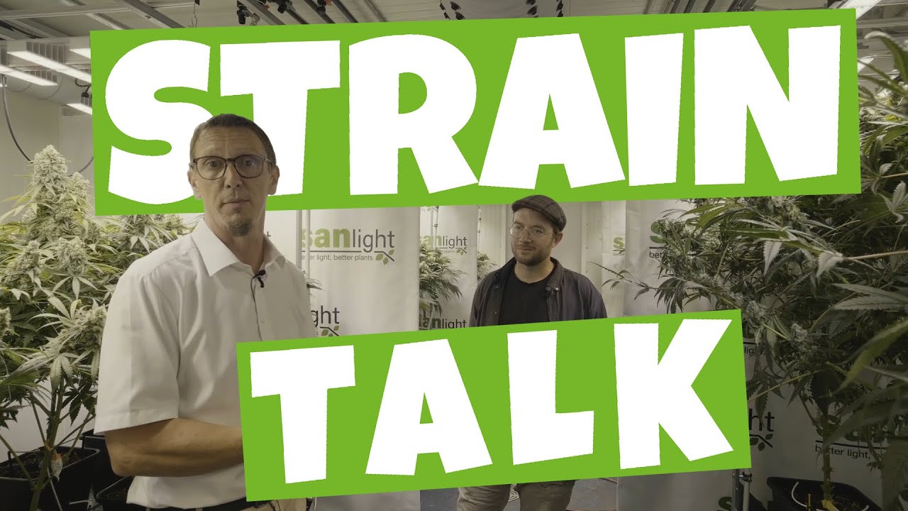Welche Pflanzen growed SANlight LED | Straintalk mit SANlights CEO Martin Anker im Pflanzenlabor