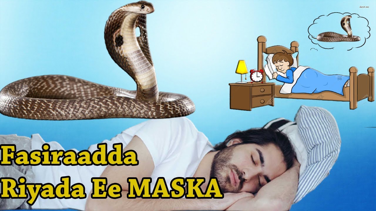 Maxaa Lagu Fasiray Riyada Qofku Ku Riyoodo Maska? | Tafsiirka Riyada Ibnu Sirin | Ragga & Dumarka