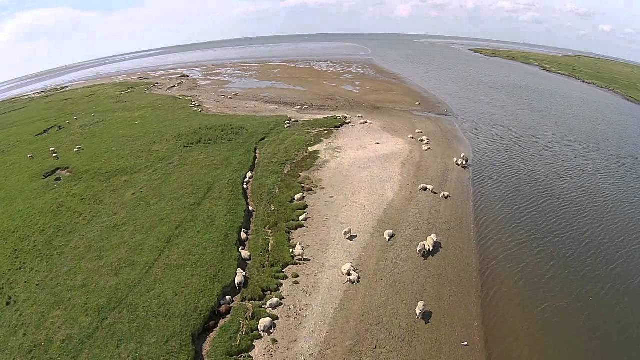Ribe Kammersluse
