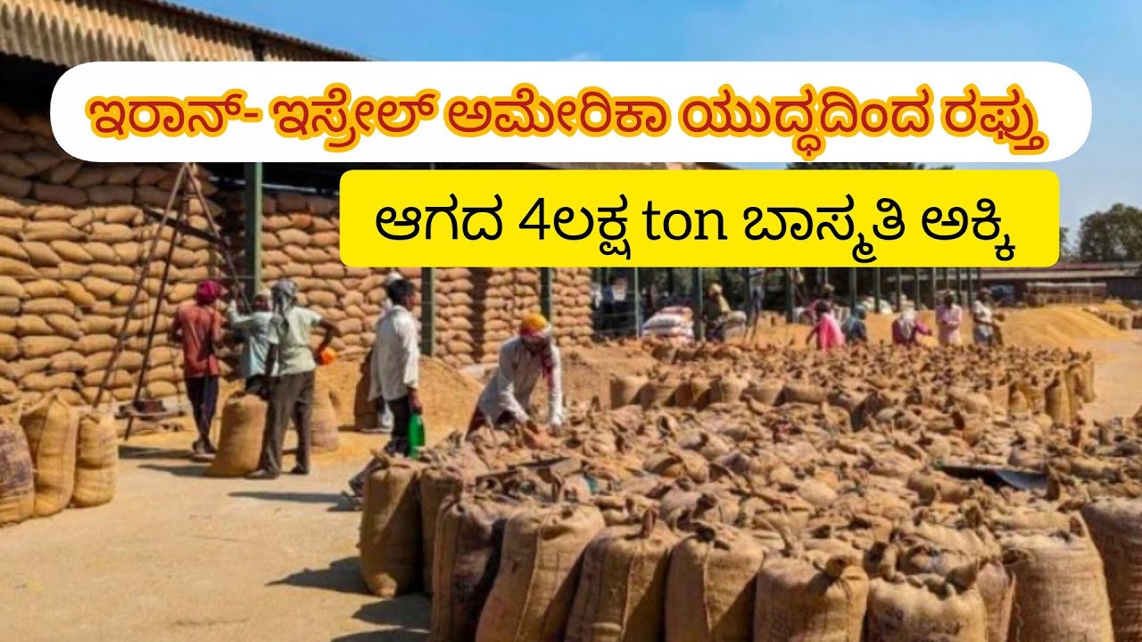 ಇರಾನ್ -ಇಸ್ರೇಲ್ ಅಮೇರಿಕಾ ಯುದ್ಧದಿಂದ ರಫ್ತು ಆಗದ ನಮ್ಮ ದೇಶದ 4ಲಕ್ಷ ton ಬಾಸ್ಮತಿ ಅಕ್ಕಿ 