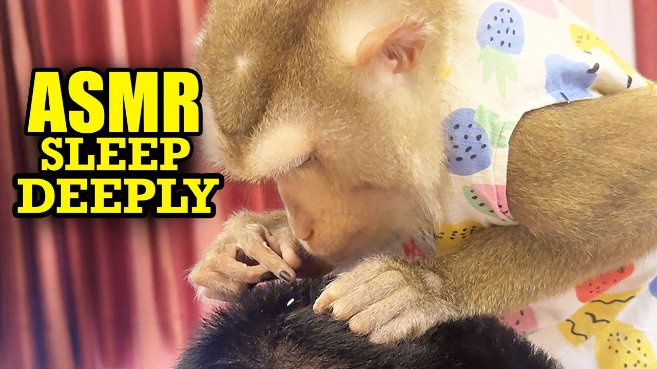 ASMR Monkey Grooming | Relaxing Tingly Mouth Sounds for Deep Sleep
