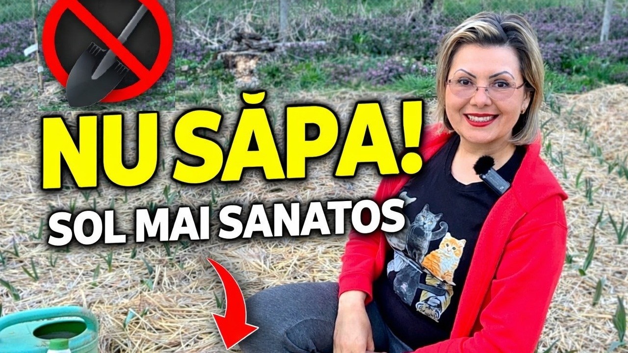 Secretul unui sol viu: pregătirea corectă primăvara ( no- dig/ fără săpat)
