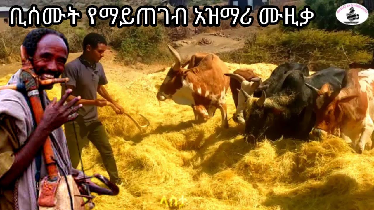 የማይጠገብ በትዝታ ልብን የሚያቀልጥ ምርጥ ሀገርኛ አዝማሪ #new Ethiopian traditional azmari music best new music2022