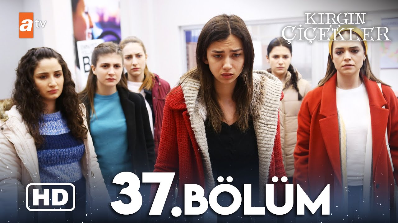 Kırgın Çiçekler 37. Bölüm | HD