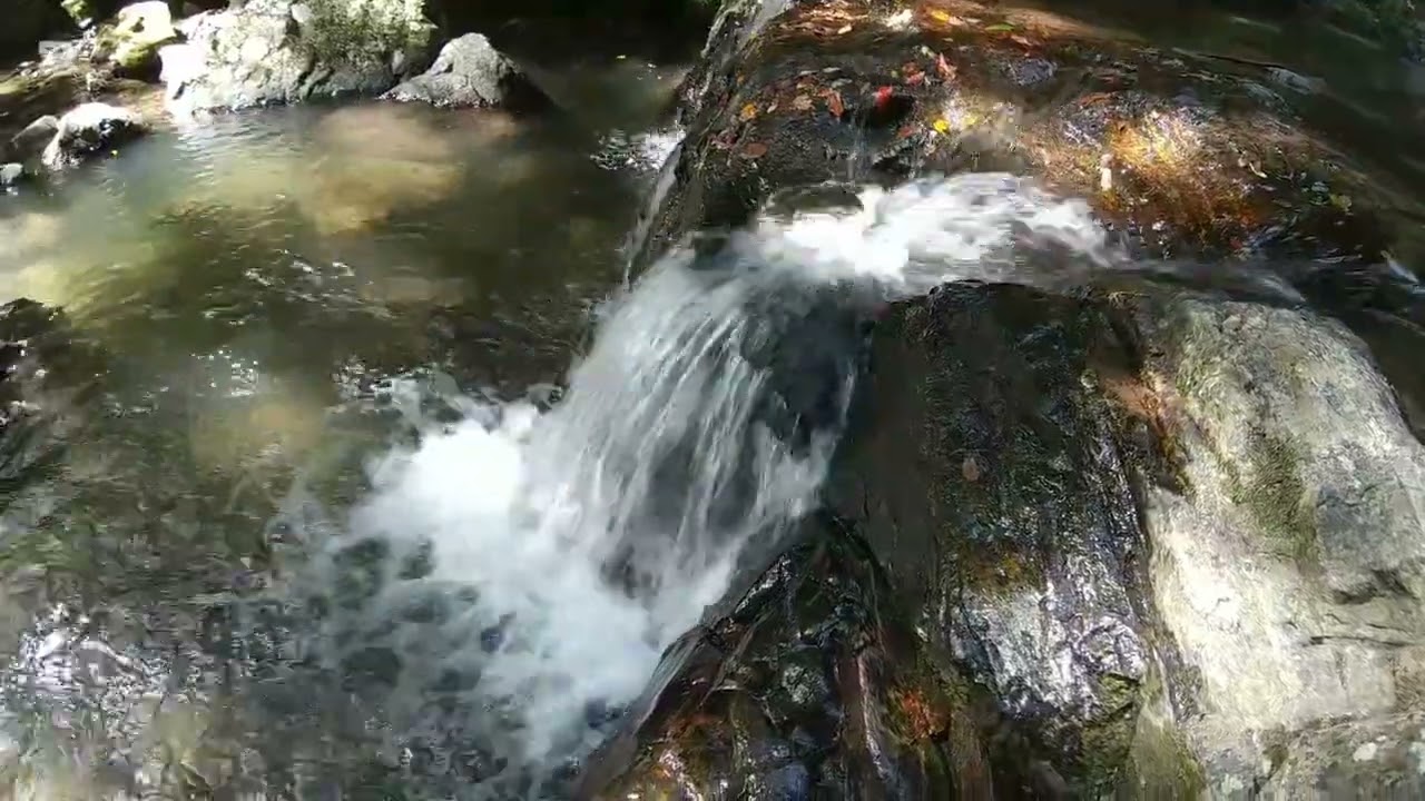 Healing Sounds of Japan: Waterfall, Cicadas, and Mountain Streams