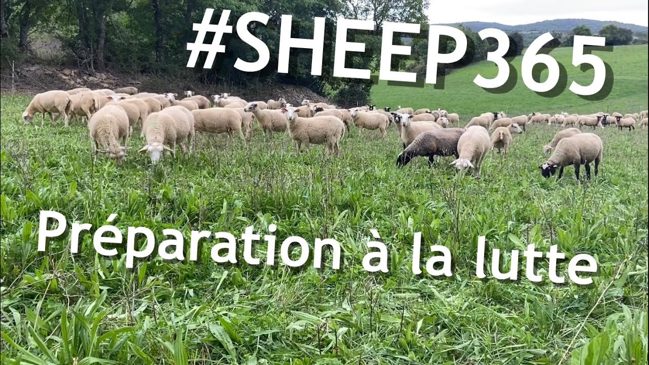 Petit CONSEIL pour une COPROLOGIE r&eacute;ussie