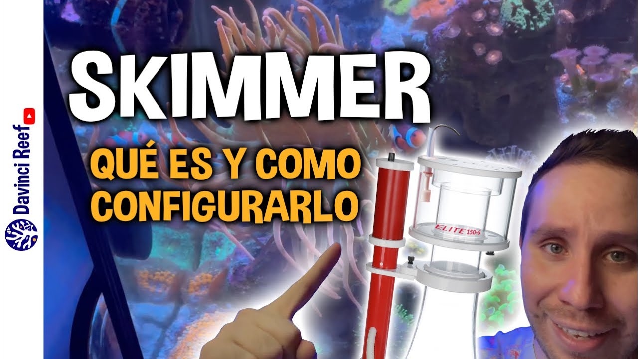 Como Configurar un Skimmer para tu Acuario Marino