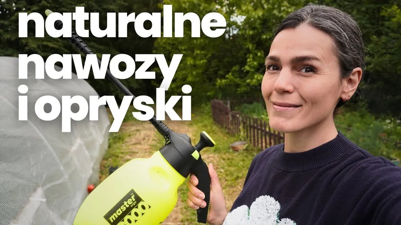 Naturalne nawozy i ekologiczne opryski do roślin | Jak chronić pomidory przed zarazą i szkodnikami