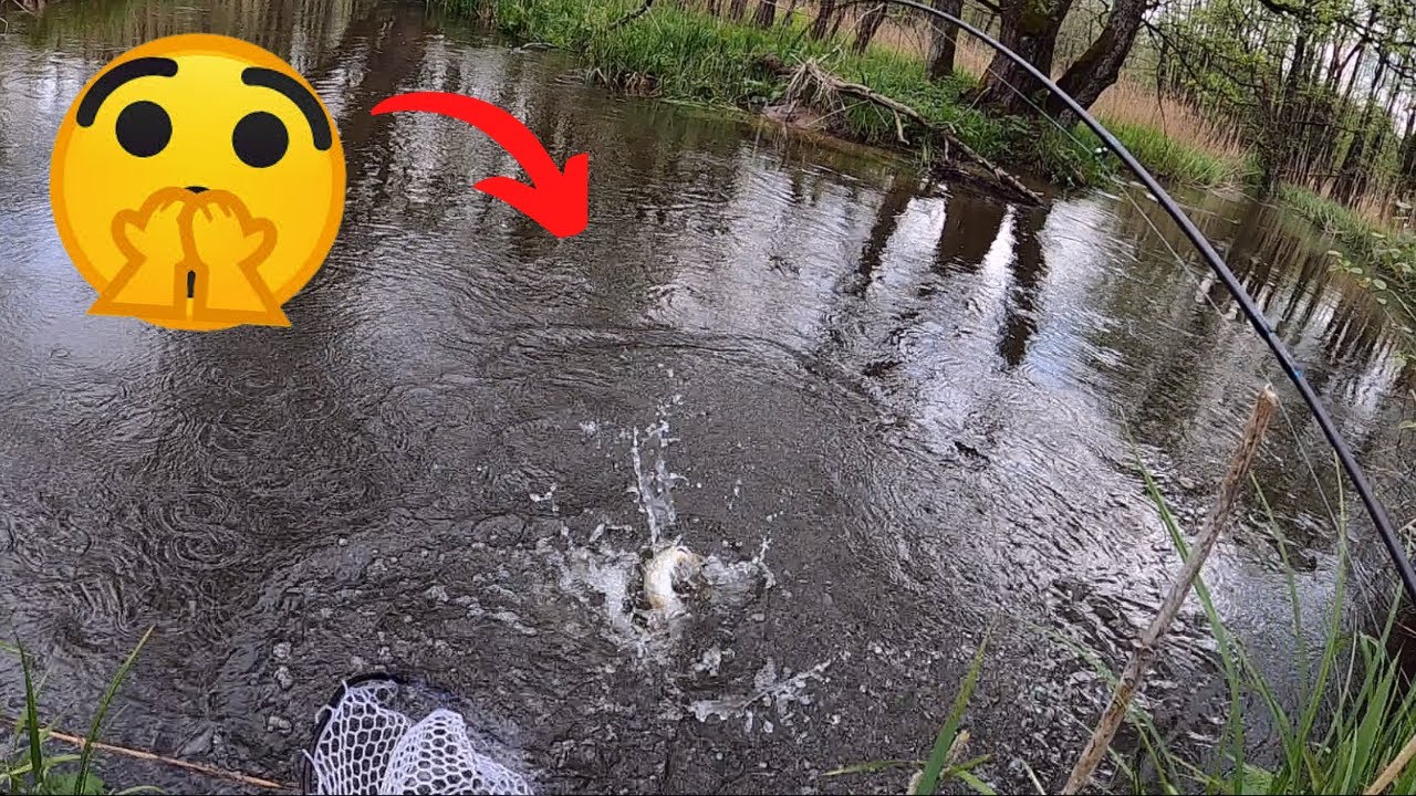 UPĖTAKIŲ ŽVEJYBA GEGUŽĖS MĖNESĮ! PIRMIEJI GYVENIME UPĖTAKIAI!