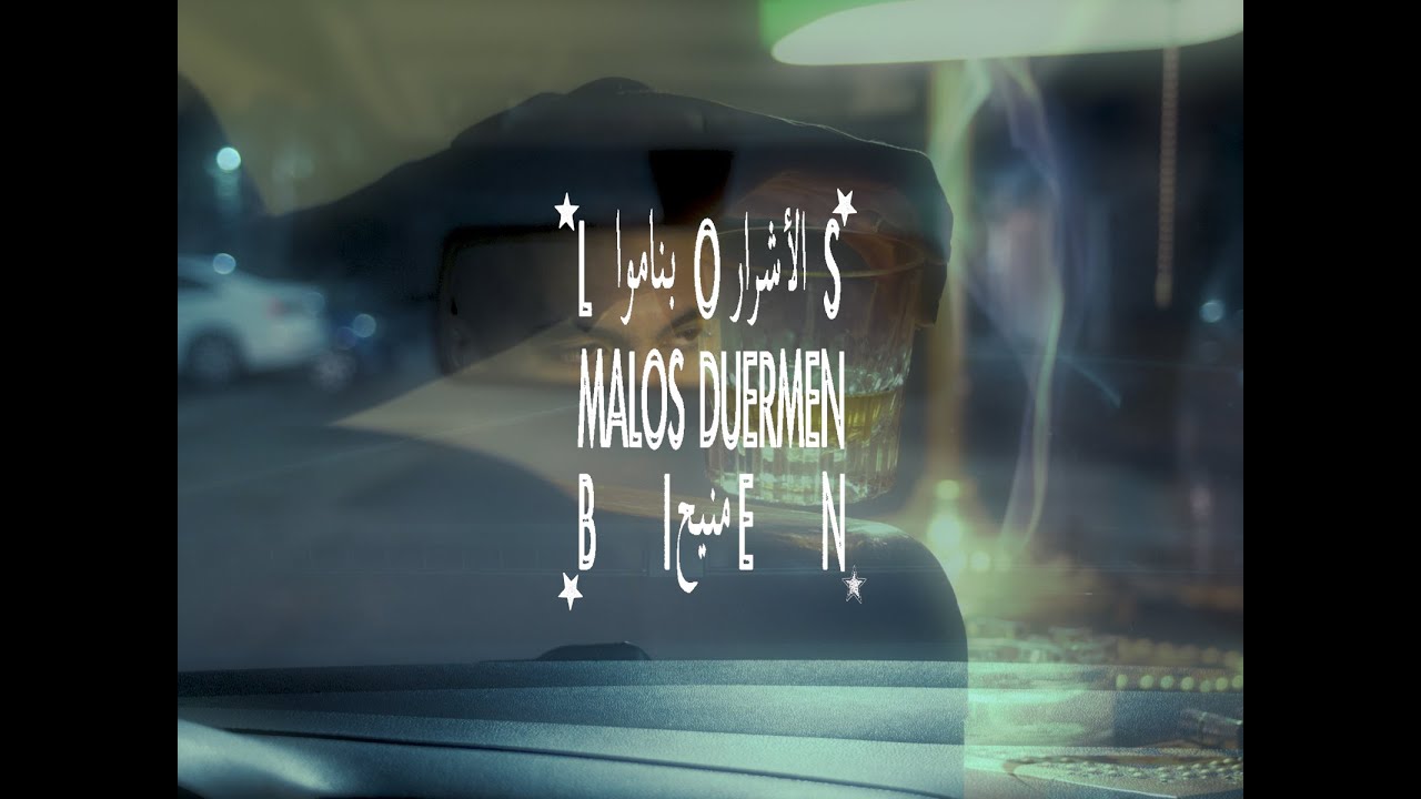 LOS MALOS DUERMEN BIEN - visualizer lyric video